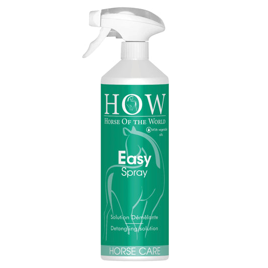 HOW Easy Spray - sörényfény