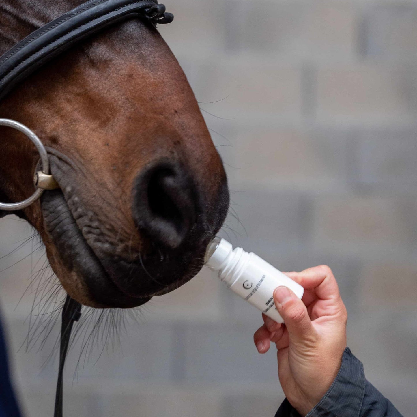 Zenroll - nyugtató balzsam